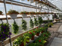 Greenhouse